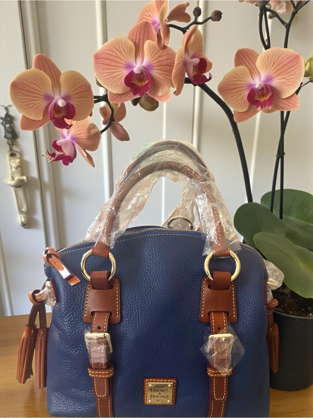 Dooney & Bourke NEW Navy Pebble Leather Satchel with Brown Trim - Gold Hardware